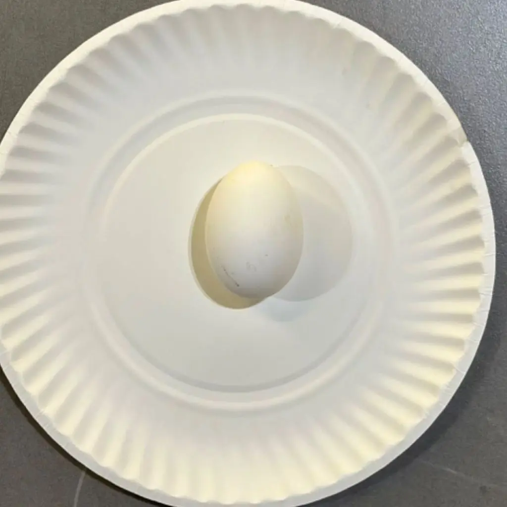 Boiled Egg